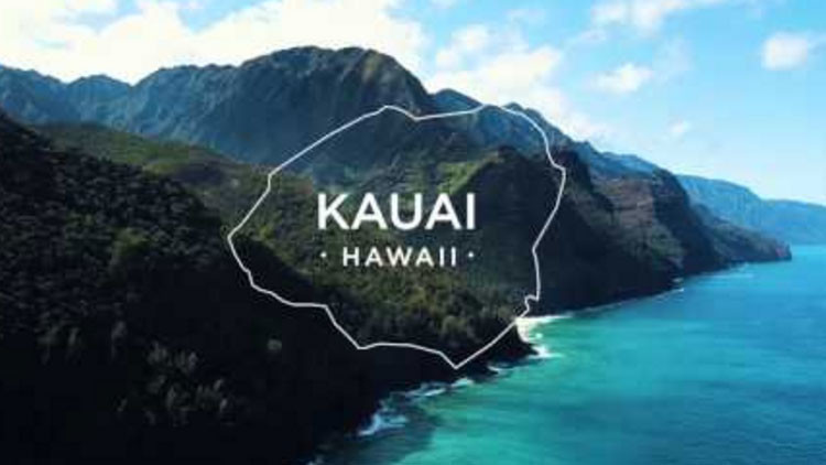 VIDEO: La planta de energía solar de Tesla que abastecerá a una isla entera de Hawái 