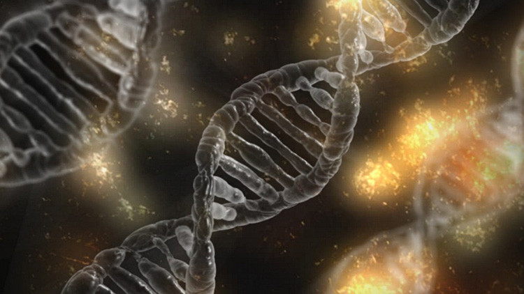 Avance genético 'con miga': La creación de vida artificial, más cerca gracias a la levadura