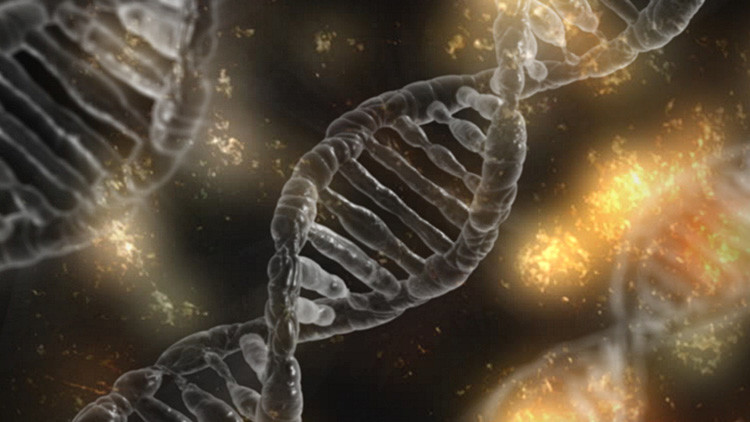 Descubren 40 genes nuevos relacionados con la inteligencia humana