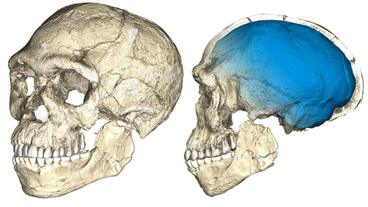 Nuestra historia se reescribe: encuentran los fósiles de Homo sapiens más antiguos jamás vistos