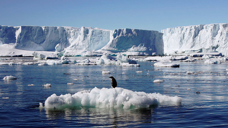 Importante hallazgo: Descubren en la Antártida unas bacterias 'anti efecto  invernadero' - RT
