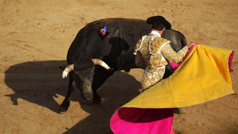 La sangre llama: salta a proteger a su hermano novillero que fue embestido por un toro (FOTOS)