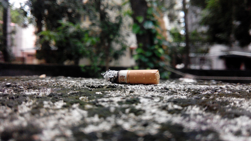 México: Investigadores descubren cómo darle un uso sustentable a las colillas de cigarros