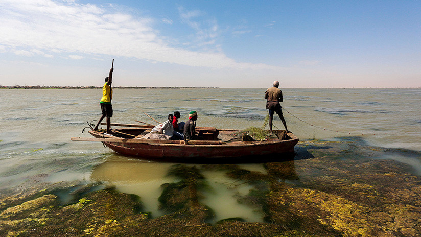 El Nilo se calienta: El gran conflicto entre dos naciones desestabiliza a África 