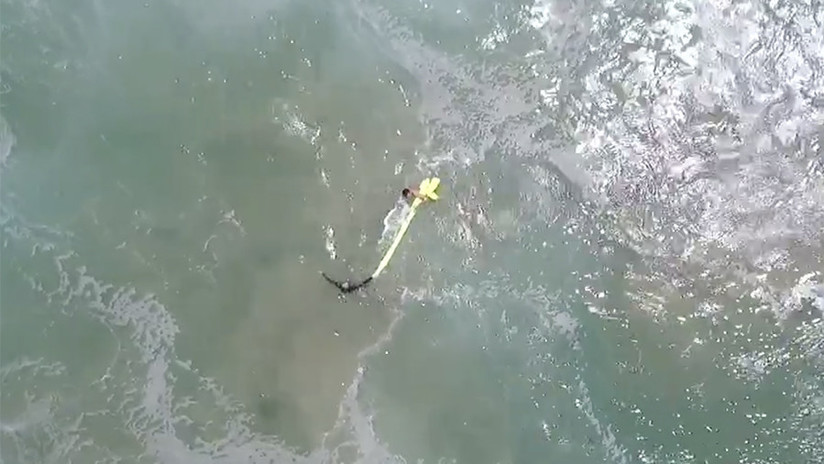 Un dron rescata por primera vez a dos surfistas atrapados por el oleaje en Australia (VIDEO)