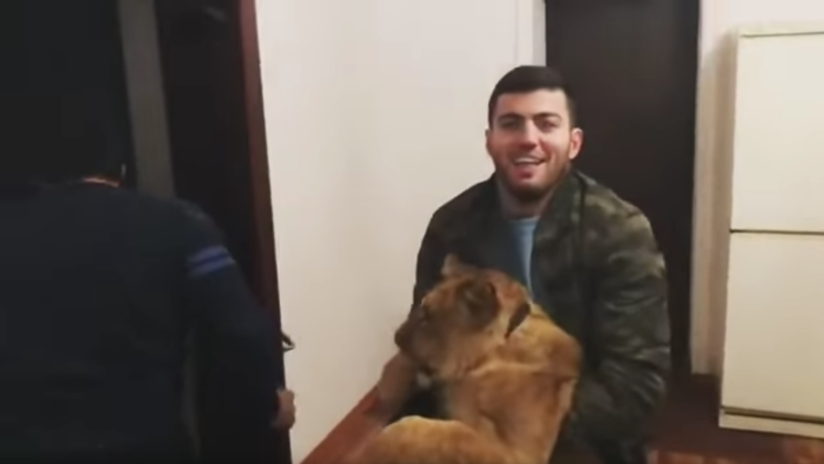 VIDEOS: Un 'blogger' ruso coloca animales exóticos en las camas de sus amigos