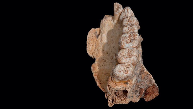 Un fósil que lo cambia todo: Hallan en Israel el resto de Homo Sapiens más antiguo fuera de África