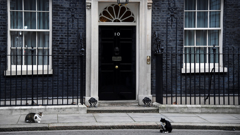 "Por culpa del 'Brexit'": Se pelean los gatos de la primera ministra y de la Cancillería británica
