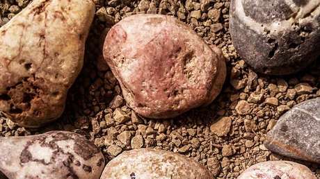 Un nuevo descubrimiento podría cambiar el relato de la evolución humana