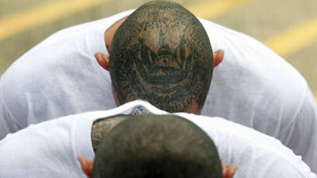 Tres miembros de la MS-13 son sentenciados por ejecutar a un menor en Nueva York