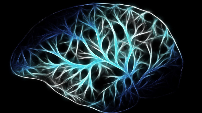 Científicos descubren lo que ocurre dentro del cerebro antes de 'apagarse'