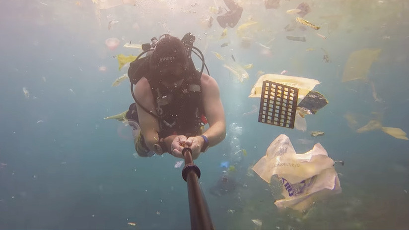Un mar de plástico: Un buceador revela qué 'regalos' invaden las aguas de Bali (VIDEO)