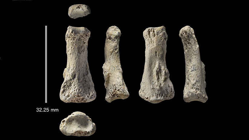 El hallazgo de un dedo de 85.000 años podría reescribir la historia de la especie humana