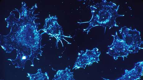 Descubren qué elemento puede ayudar a prevenir y combatir el cáncer