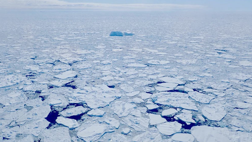 Los grandes hielos del Ártico se rompen y la situación aterra a los científicos