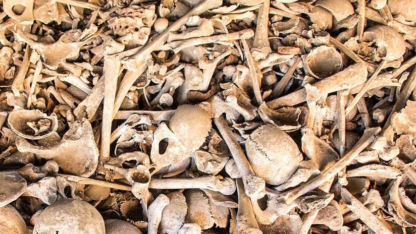 Hallan en Rusia restos de un híbrido entre el neandertal y el misterioso hombre de Denísova