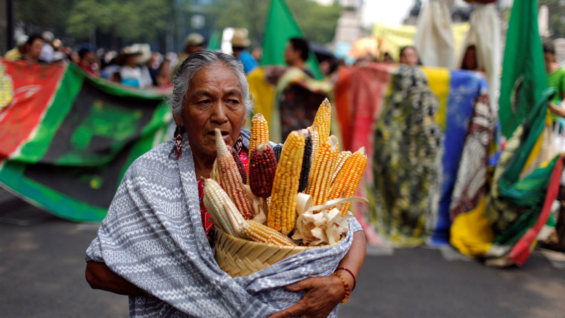 Comunidades mayas acusan al Gobierno de México de no respetar su lucha contra Monsanto