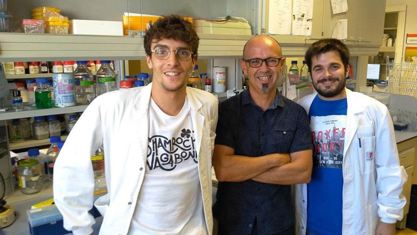 Investigadores españoles descubren una molécula que detiene y revierte el párkinson