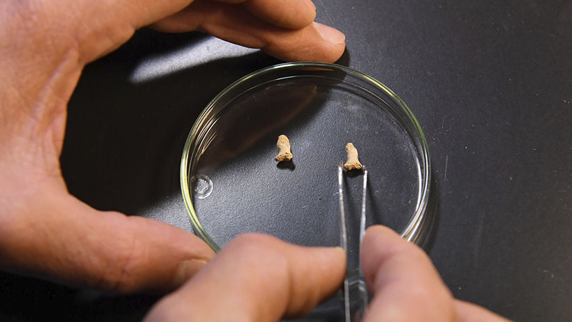 FOTOS: El espantoso secreto que escondían huesos de hace más de 100.000 años hallados en una cueva