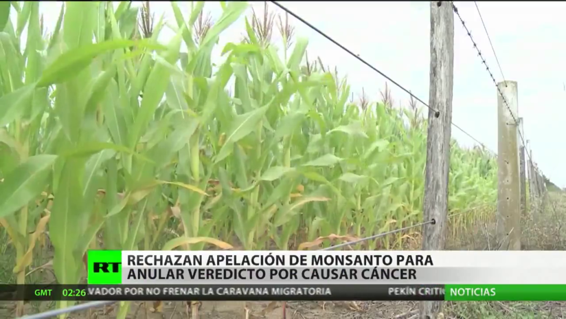Rechazan apelación de Monsanto para anular veredicto por causar cáncer