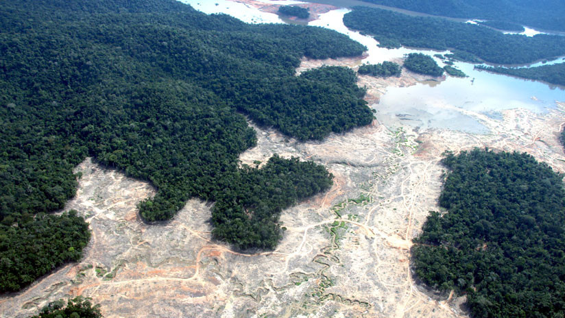 Bolsonaro, ¿un peligro para la Amazonia?