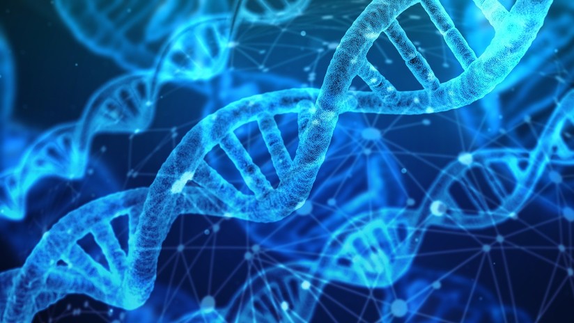 "Construir un atlas celular humano": Crean unas pinzas que pueden extraer ADN de una célula viva