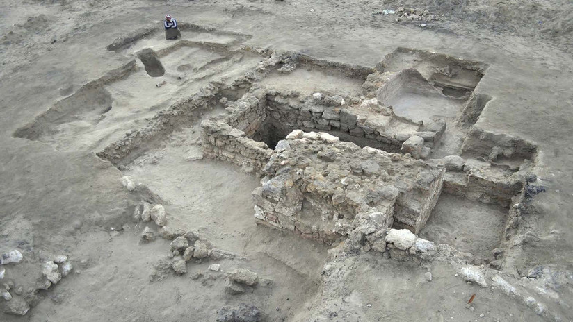 FOTOS: Hallan el primer sitio urbano helenístico en Egipto con un trozo de cráneo de elefante