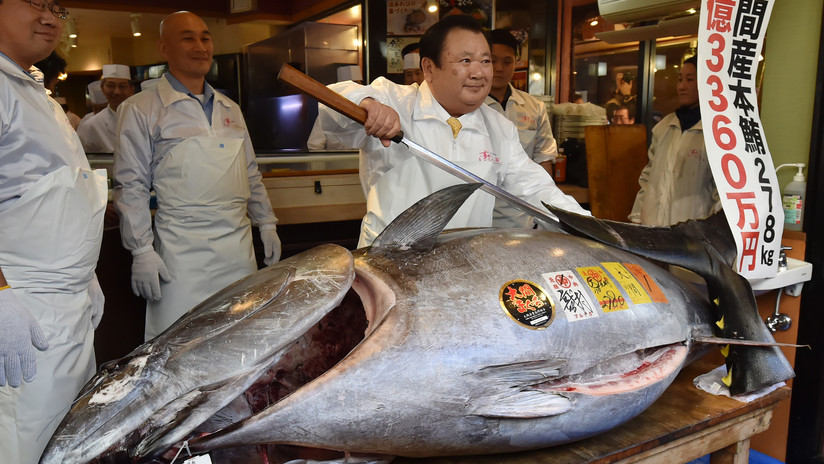 Un magnate del 'sushi' paga un precio récord de 3 millones de dólares por un atún gigante