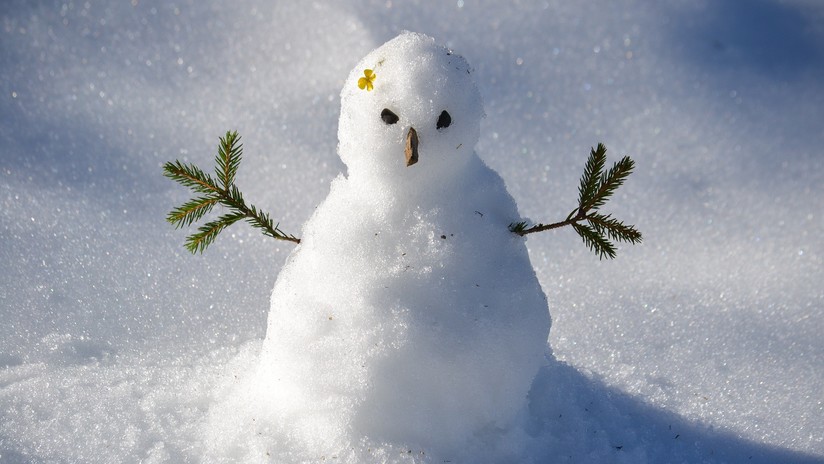 FOTOS: Quiso atropellar un muñeco de nieve pero no sabía que tenía sorpresa