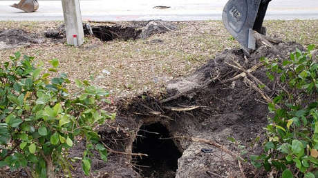 FOTOS: Hallan túnel como "en las películas", cavado por ladrones para robar un banco en Florida
