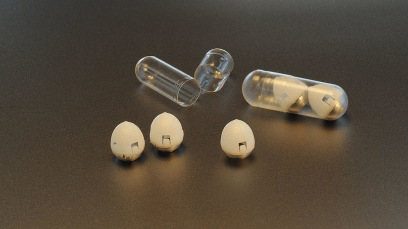 Una píldora podría ahorrar dolores y molestias a las personas con diabetes tipo 1