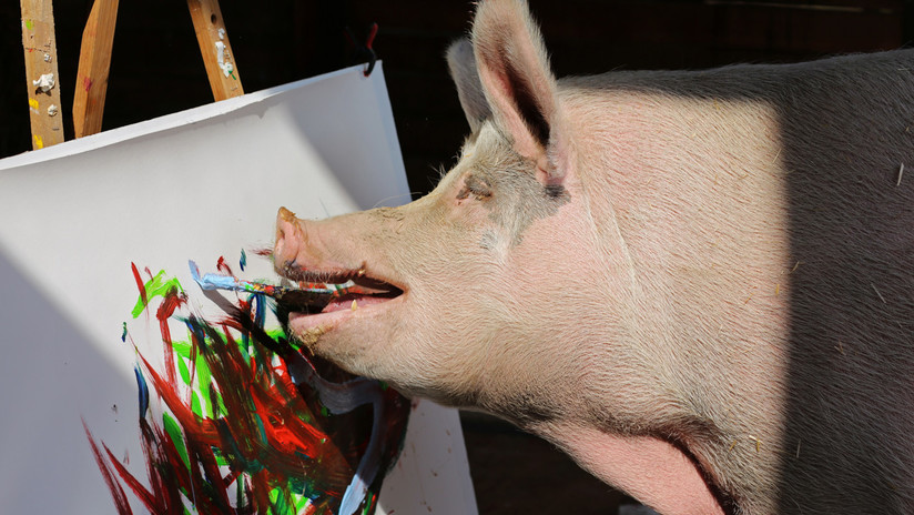 De Picasso a Pigcasso: El arte animal en una marea de colores