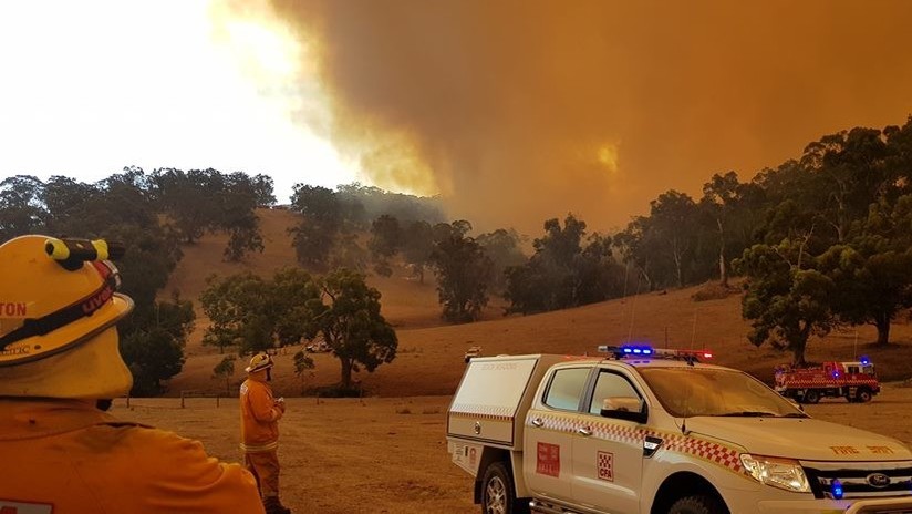 VIDEO, FOTOS: Decenas de incendios asolan varias ciudades en Australia
