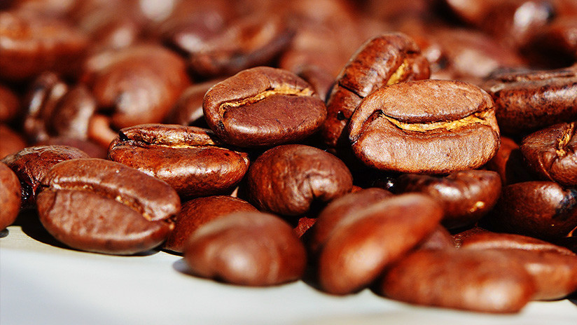 Encuentran en el café compuestos con capacidad para inhibir el crecimiento del cáncer de próstata