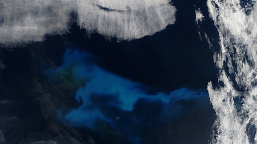 Florecimiento de fitoplancton en el Atlántico Norte, el 23 de julio de 2013