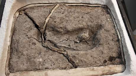 Descubren en Chile la que sería hasta el momento la huella humana más antigua en América