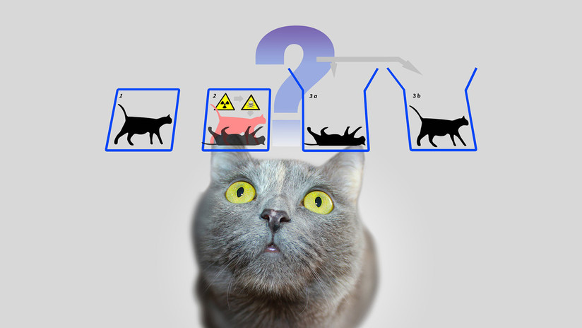 Logran predecir el salto cuántico y 'salvar' al gato de Schrödinger