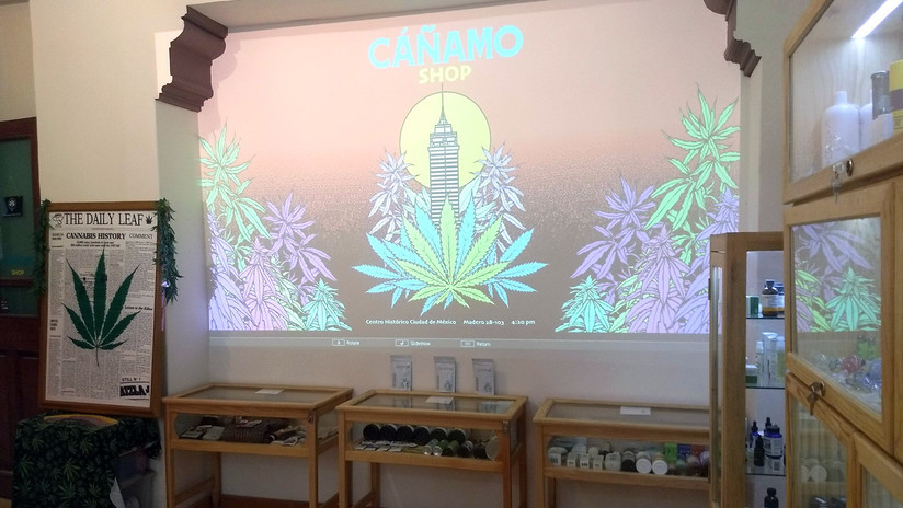 Así es el primer museo del cáñamo y la marihuana en México