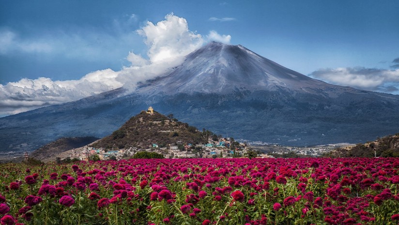 256 exhalaciones en 24 horas: el volcán Popocatépetl mantiene en vilo a México