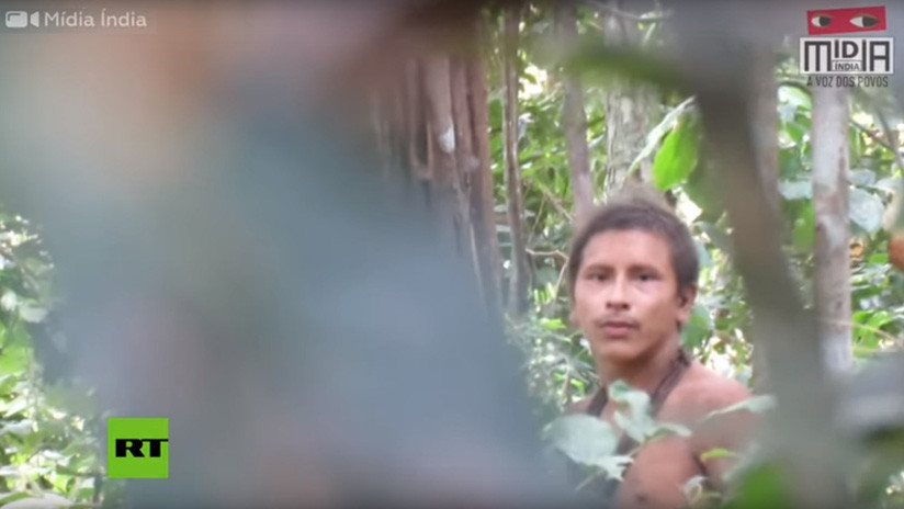 VIDEO: Graban a un indígena no contactado de Brasil en tierra cercada por los madereros ilegales
