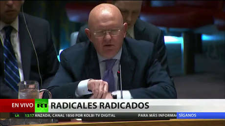 Rusia ante la ONU: "Occidente quiere preservar la presencia terrorista en la provincia siria de Idlib"