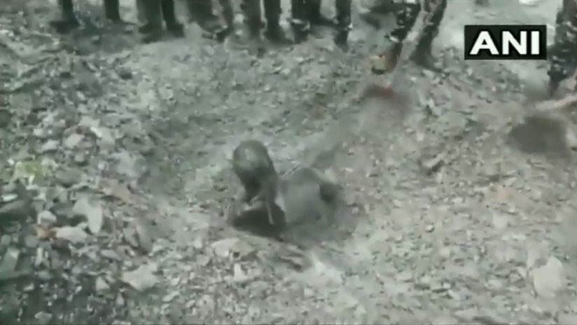 VIDEO: Un perro salva a un hombre sepultado por un deslizamiento de tierra