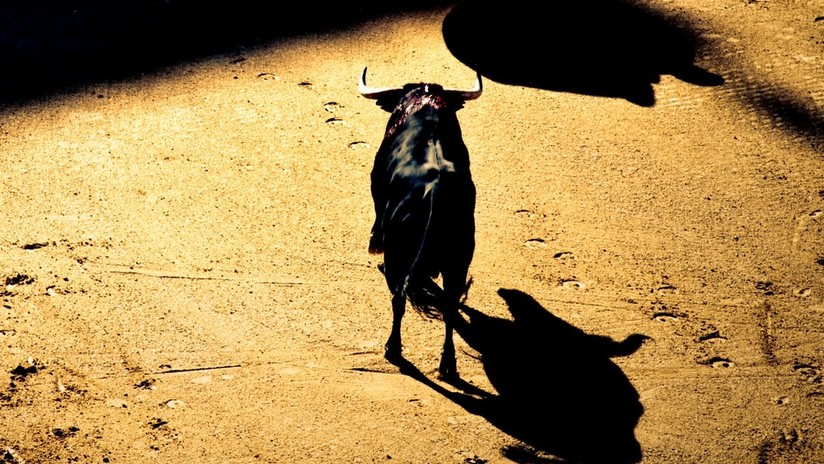 VIDEO: Un toro lanza a un joven por los aires en un espectaculo taurino en España