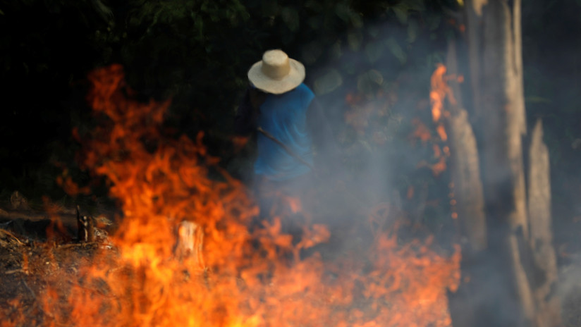 Las posibles consecuencias que pueden dejar los incendios que arrasan la Amazonía