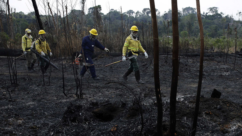 ¿Cómo se están combatiendo los incendios en la Amazonia brasileña y la Chiquitanía boliviana?