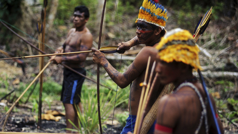 Los incendios de la Amazonia son "potencialmente genocidas" para sus tribus indígenas