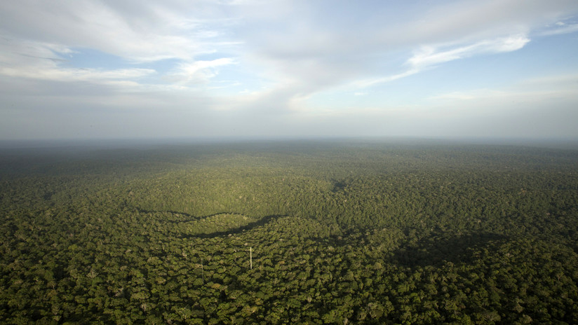 Experta sobre la deforestación de la Amazonía: "No son los pulmones del mundo, es una bomba de carbono"