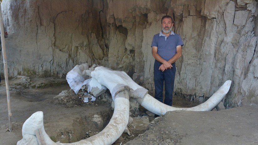 FOTOS, VIDEOS: Arqueólogos descubren en México una de las primeras trampas artificiales de mamuts en el mundo