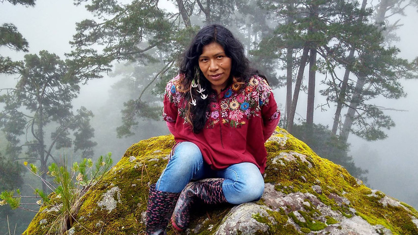 Aparece con vida la ambientalista mexicana Irma Galindo