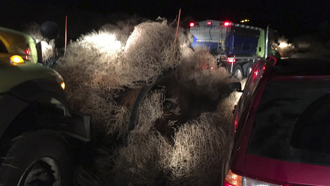 FOTO, VIDEO: Plantas rodadoras gigantes dejan atrapados a conductores en una carretera de EE.UU. en Nochevieja